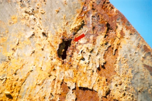Slide 4